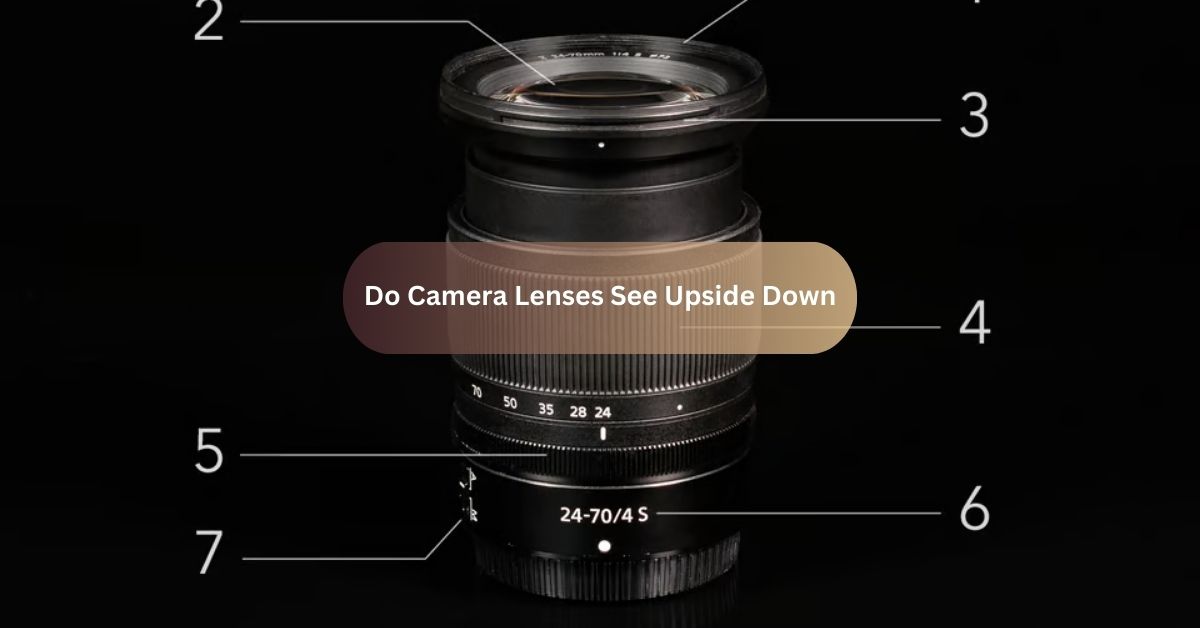 Do Camera Lenses See Upside Down