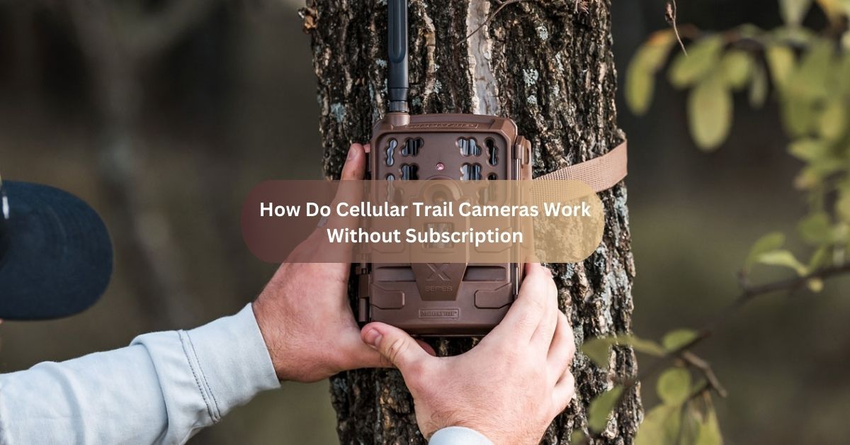 How Do Cellular Trail Cameras Work Without Subscription