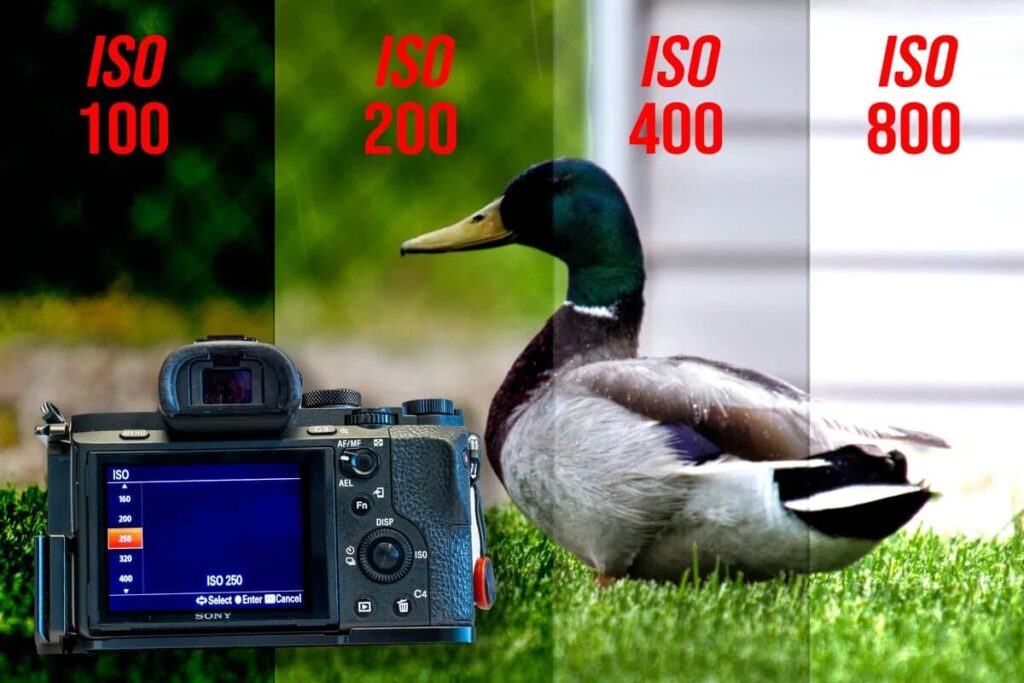 Selecting-The-Right-Iso-1024x683 What Is Iso On A Camera – Iso Explained!