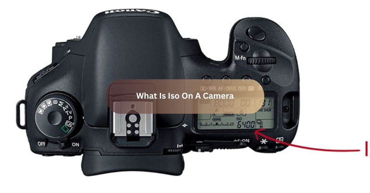 What Is Iso On A Camera